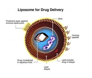 Liposome biopharma