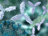 The Chromatrap ChIP-seq kit allows researchers to efficiently enrich chromatin