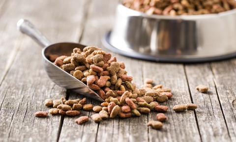 Freeze drying pet food is the best way to maintain the nutrition, taste and smell when removing moisture