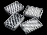 Porvair Sciences launches a new range of untreated polystyrene culture microplates