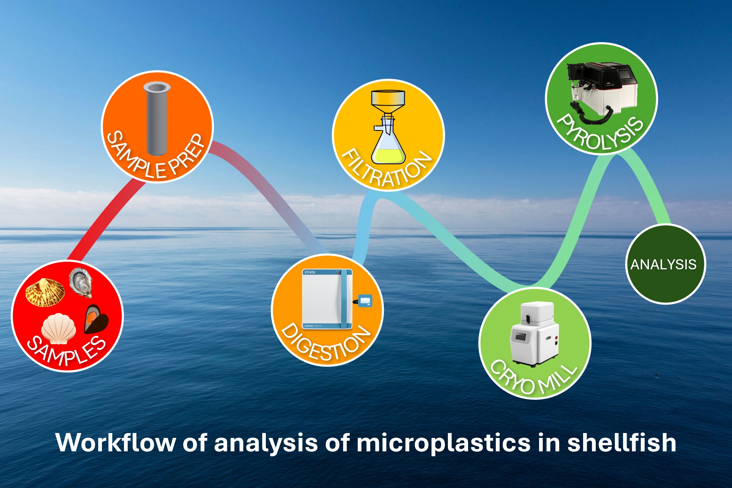 Quantitative analysis of microplastics in shellfish using pyrolysis ...