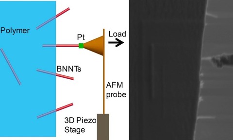 Boron nitride nanotubes