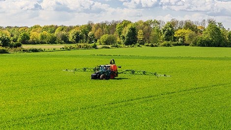 Glyphosate and AMPA in drinking water