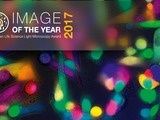 Olympus Image of the Year Competition