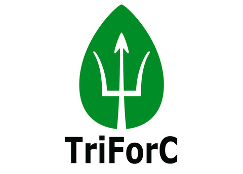 The TriForC project has resulted in the publication of the most extensive and significant algal strain engineering study to date*.