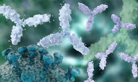 The Chromatrap ChIP-seq kit allows researchers to efficiently enrich chromatin