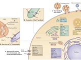 Biotron has joined the race to cure coronavirus