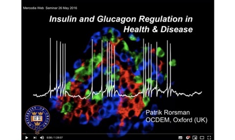 Webinar: Insulin and Glucagon Regulation in Health & Disease: Dr. Patrik Rorsman