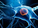 STEM-CELLBANKER has been used in the development of a cell therapy for Parkinson’s Disease