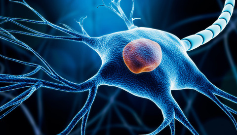 STEM-CELLBANKER has been used in the development of a cell therapy for Parkinson’s Disease