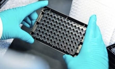 Porvair Sciences has a growing business in custom microplates