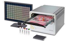 Sartorius’ Incucyte Live-Cell Analysis System
