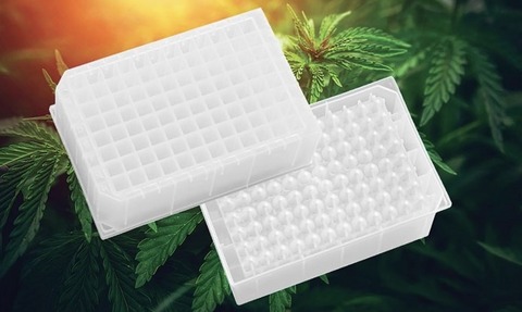 Povair Sciences’ 2 ml 96-well microplate optimised for processing cannabis samples
