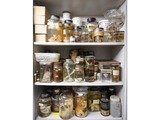 ZSL's collection includes samples donated from many diverse sources