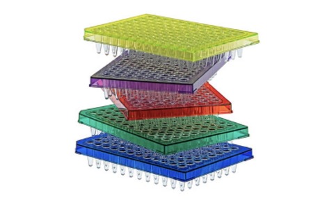 Amplify Rigid PCR Plates