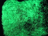 Fingerprint