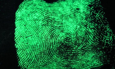 Fingerprint