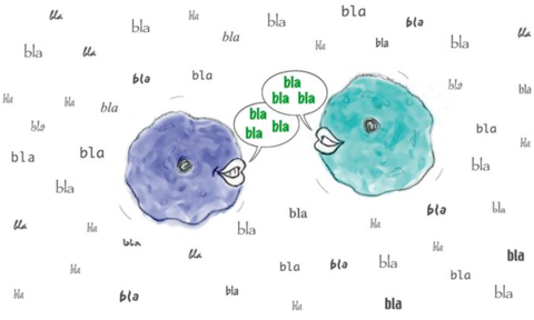 Cell communication