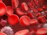 Blood cells