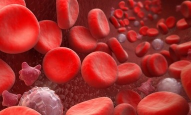 Blood cells