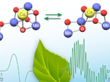 Photosystem