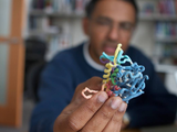  Three dimensional model of a protein complex