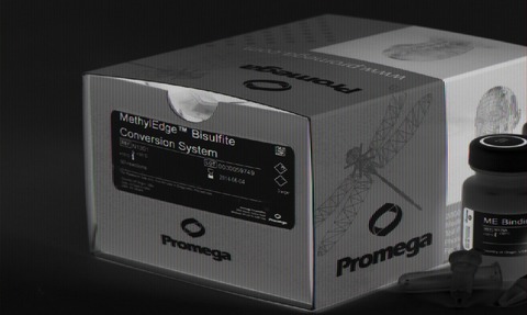 Promega introduces Conversion System for DNA Methylation Analysis