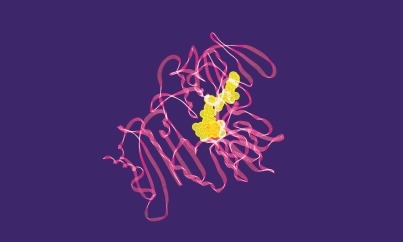 Amsbio aptamer