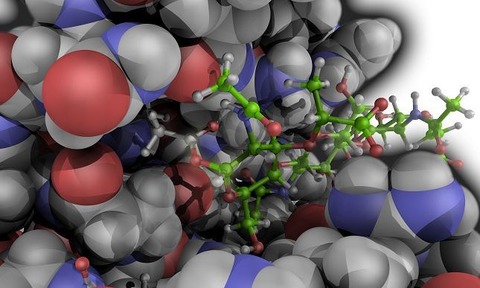 Enzyme catalysis