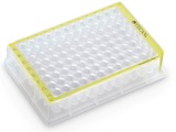 The inner surface of each well on the 96-position, deep-well microplate is coated with a highly-cont
