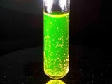 Biodiesel produced without water