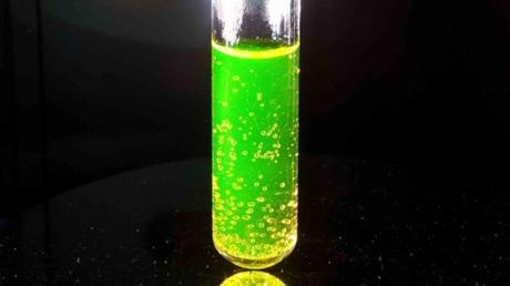 Biodiesel produced without water