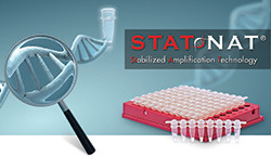 STAT-NAT products contain all the reaction components for PCR including the Hot Start Polymerase. 