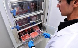 Laboratory contamination
