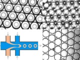 Monodisperse double emulsions produced using Dolomite’s Double Emulsion System