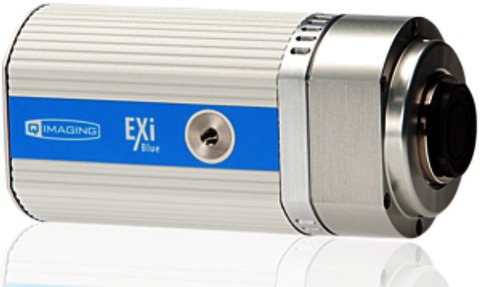EXi Blue CCD camera