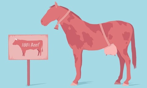 Test kits help determine DNA types in meat species