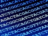 The RapidSeq Small RNA Sample Prep Kit is designed to provide strand-specific cDNA synthesis with re