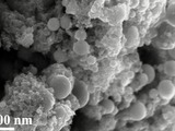 A femtosecond laser created detailed hierarchical structures in the metals, as shown in this SEM ima