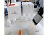 Chromatrap kits for qPCR use Chromatrap Protein-A or Protein-G spin columns