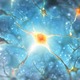 AMSBIO has launched a range of induced pluripotent stem cell (iPSC) derived neural stem cells