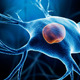 STEM-CELLBANKER has been used in the development of a cell therapy for Parkinson’s Disease