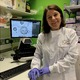 Lisa and her team at the ICR use INTEGRA’s VIAFLO electronic pipettes to increase throughput in their preclinical drug screening and translational medicine workflows.